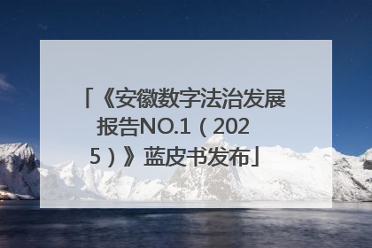 《安徽数字法治发展报告NO.1（2025）》蓝皮书发布