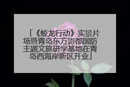 《蛟龙行动》实景片场暨青岛东方影都国防主题文旅研学基地在青岛西海岸新区开业
