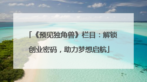 《预见独角兽》栏目：解锁创业密码，助力梦想启航