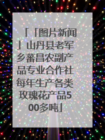 「图片新闻」山丹县老军乡蕃昌农副产品专业合作社每年生产各类玫瑰花产品500多吨