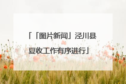 「图片新闻」泾川县夏收工作有序进行