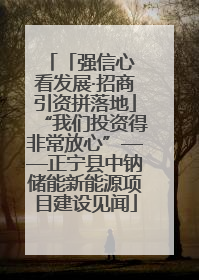 「强信心 看发展·招商引资拼落地」“我们投资得非常放心”——正宁县中钠储能新能源项目建设见闻
