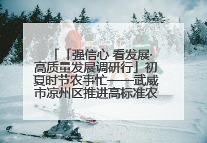 「强信心 看发展·高质量发展调研行」初夏时节农事忙——武威市凉州区推进高标准农田建设见闻