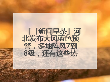 「新闻早茶」河北发布大风蓝色预警，多地阵风7到8级，还有这些热点……