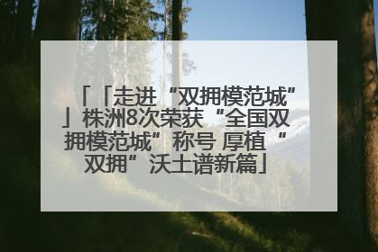 「走进“双拥模范城”」株洲8次荣获“全国双拥模范城”称号 厚植“双拥”沃土谱新篇