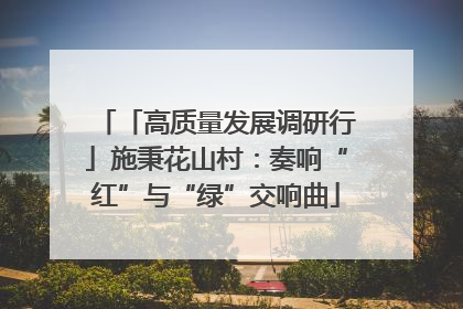 「高质量发展调研行」施秉花山村：奏响“红”与“绿”交响曲
