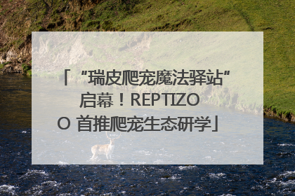 “瑞皮爬宠魔法驿站” 启幕！REPTIZOO 首推爬宠生态研学