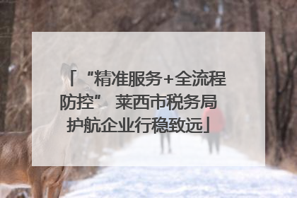 “精准服务+全流程防控” 莱西市税务局护航企业行稳致远