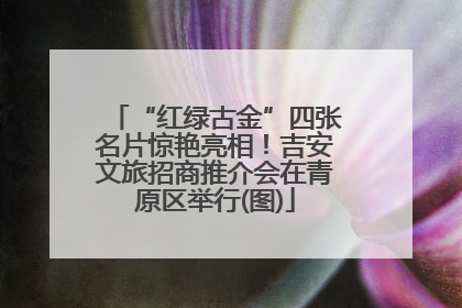“红绿古金”四张名片惊艳亮相！吉安文旅招商推介会在青原区举行(图)