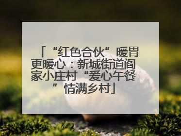 “红色合伙”暖胃更暖心：新城街道阎家小庄村“爱心午餐”情满乡村