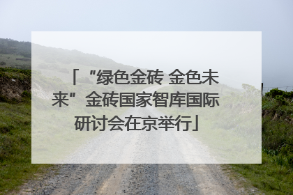 “绿色金砖 金色未来”金砖国家智库国际研讨会在京举行
