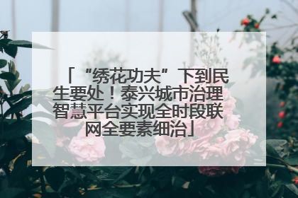 “绣花功夫”下到民生要处！泰兴城市治理智慧平台实现全时段联网全要素细治