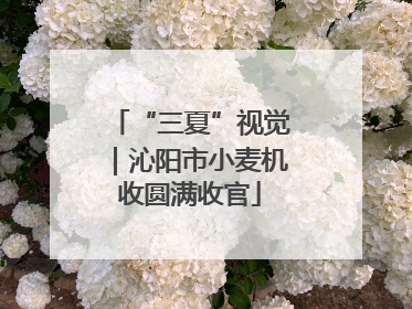 “三夏”视觉｜沁阳市小麦机收圆满收官