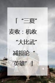 “三夏”麦收：机收“大比武” 减损论“英雄”