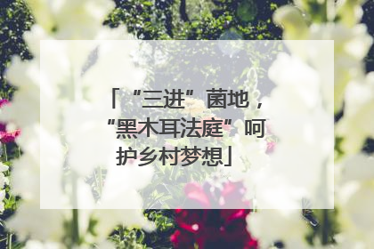 “三进”菌地，“黑木耳法庭”呵护乡村梦想