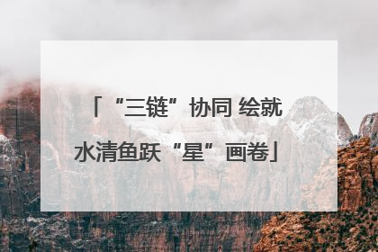 “三链”协同 绘就水清鱼跃“星”画卷