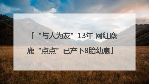 “与人为友”13年 网红麋鹿“点点”已产下8胎幼崽