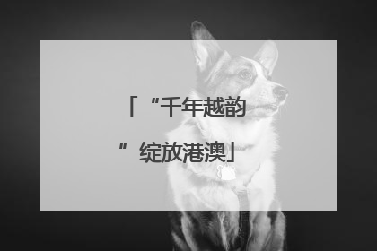 “千年越韵”绽放港澳