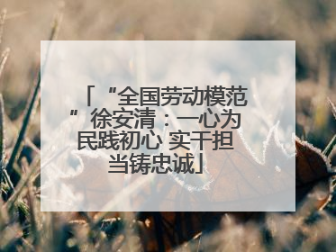 “全国劳动模范”徐安清：一心为民践初心 实干担当铸忠诚