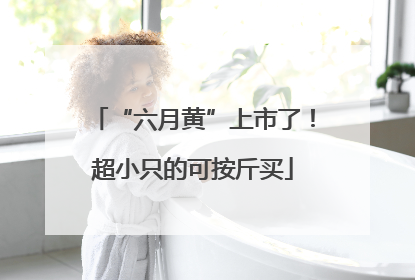 “六月黄”上市了！超小只的可按斤买