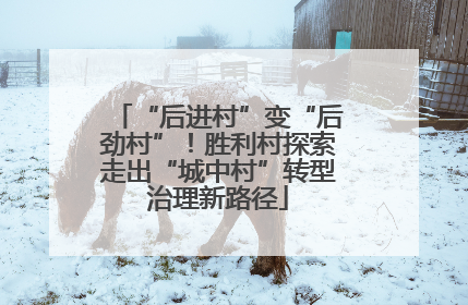 “后进村”变“后劲村”！胜利村探索走出“城中村”转型治理新路径