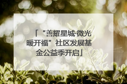 “善耀星城·微光暖开福”社区发展基金公益季开启