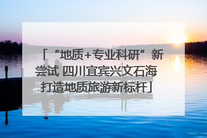 “地质+专业科研”新尝试 四川宜宾兴文石海打造地质旅游新标杆