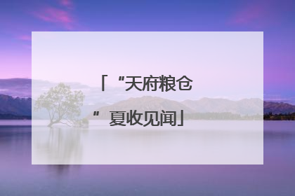 “天府粮仓”夏收见闻