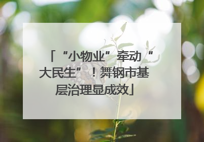 “小物业”牵动“大民生”！舞钢市基层治理显成效