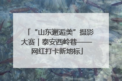 “山东邂逅美”摄影大赛｜泰安西岭巷——网红打卡新地标