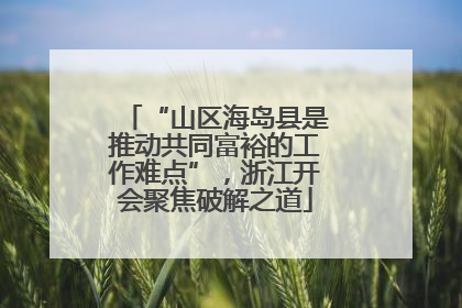 “山区海岛县是推动共同富裕的工作难点”，浙江开会聚焦破解之道