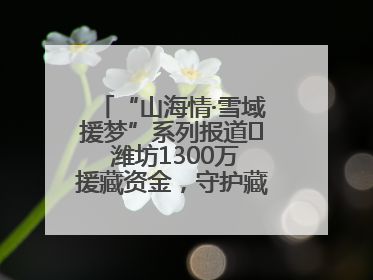 “山海情·雪域援梦”系列报道⑪ 潍坊1300万援藏资金，守护藏区群众健康“最后一公里”