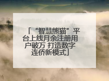 “智慧熊猫”平台上线月余注册用户破万 打造数字连侨新模式