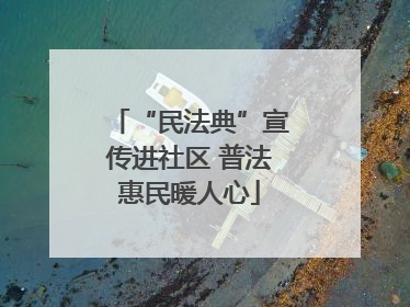 “民法典”宣传进社区 普法惠民暖人心