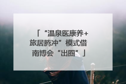 “温泉医康养+旅居腾冲”模式借南博会“出圈”