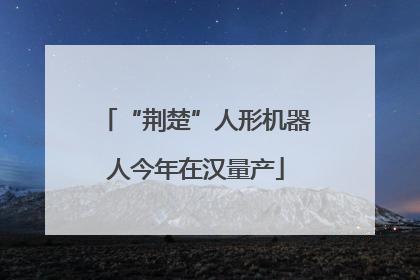 “荆楚”人形机器人今年在汉量产