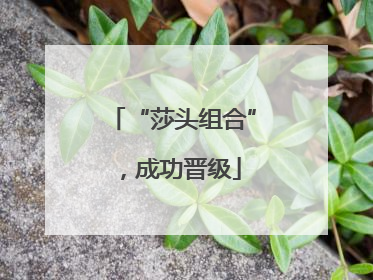 “莎头组合”，成功晋级