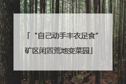 “自己动手丰衣足食”矿区闲置荒地变菜园