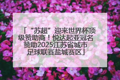 “苏超”迎来世界杯顶级赞助商！悦达起亚冠名赞助2025江苏省城市足球联赛盐城赛区