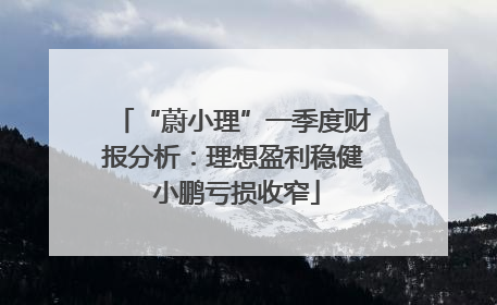 “蔚小理”一季度财报分析：理想盈利稳健 小鹏亏损收窄