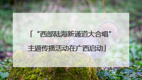 “西部陆海新通道大合唱”主题传播活动在广西启动