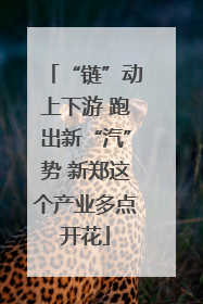 “链”动上下游 跑出新“汽”势 新郑这个产业多点开花