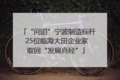 “问道”宁波制造标杆 25位临海大田企业家取回“发展真经”
