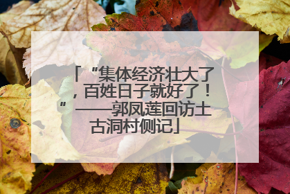 “集体经济壮大了，百姓日子就好了！”——郭凤莲回访土古洞村侧记