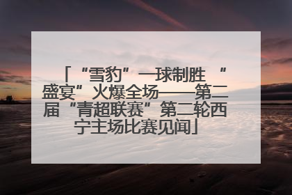 “雪豹”一球制胜 “盛宴”火爆全场——第二届“青超联赛”第二轮西宁主场比赛见闻