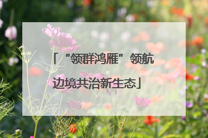 “领群鸿雁”领航边境共治新生态