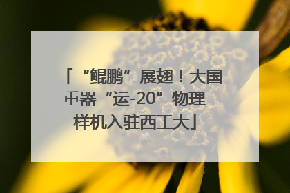 “鲲鹏”展翅！大国重器“运-20”物理样机入驻西工大