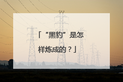 “黑豹”是怎样炼成的？