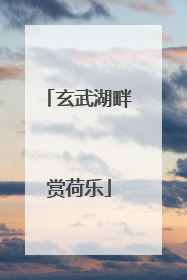 玄武湖畔赏荷乐