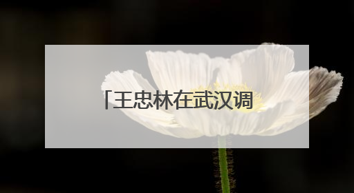 王忠林在武汉调研时强调 加快推进医工交叉融合创新 全力保障人民群众生命健康